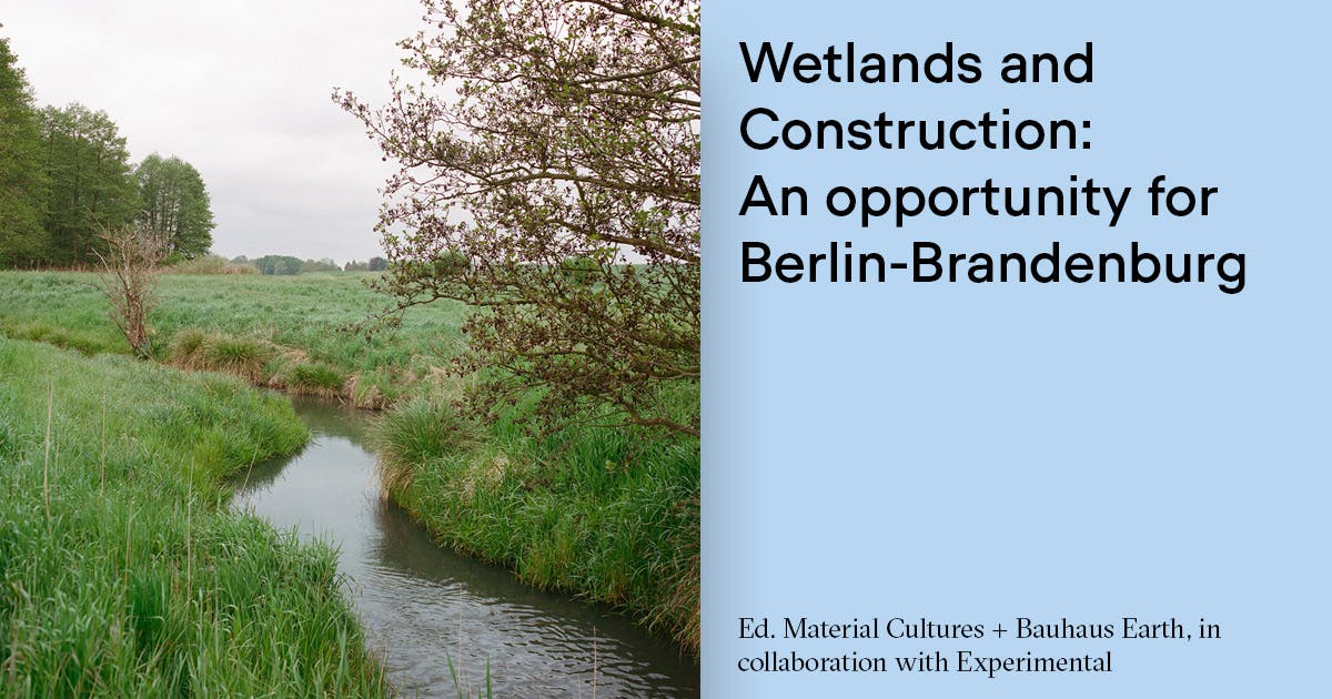 Report &#8216;Wetlands and Construction&#8217;. An Opportunity for Berlin-Brandenburg